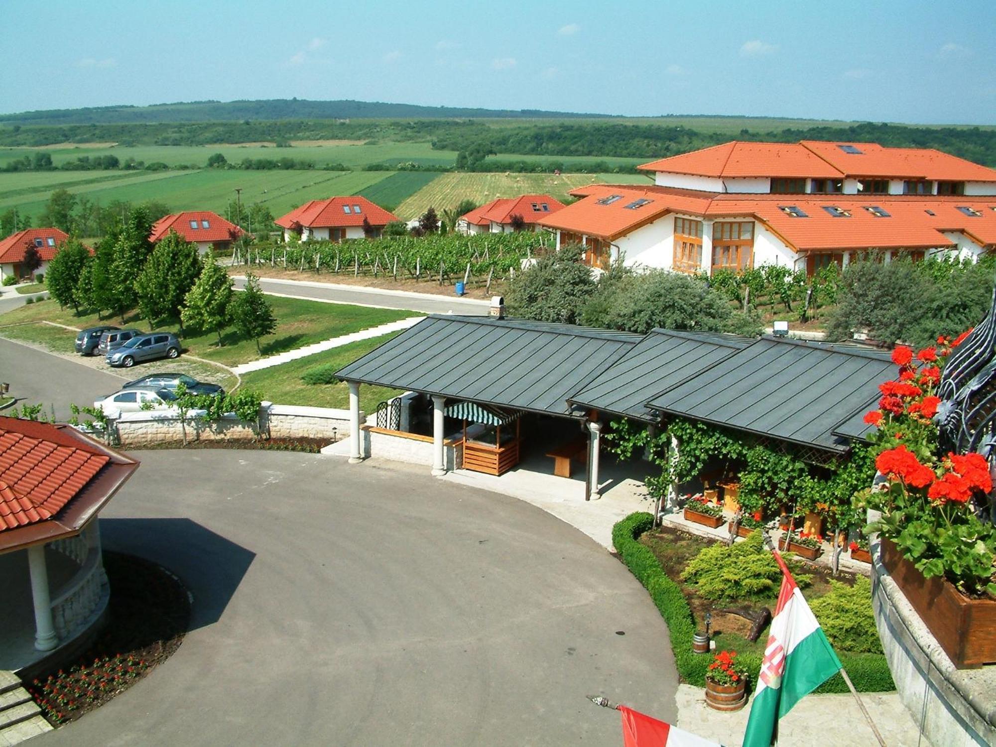 Egri Korona Borhaz Es Wellness Hotel Демьен Экстерьер фото